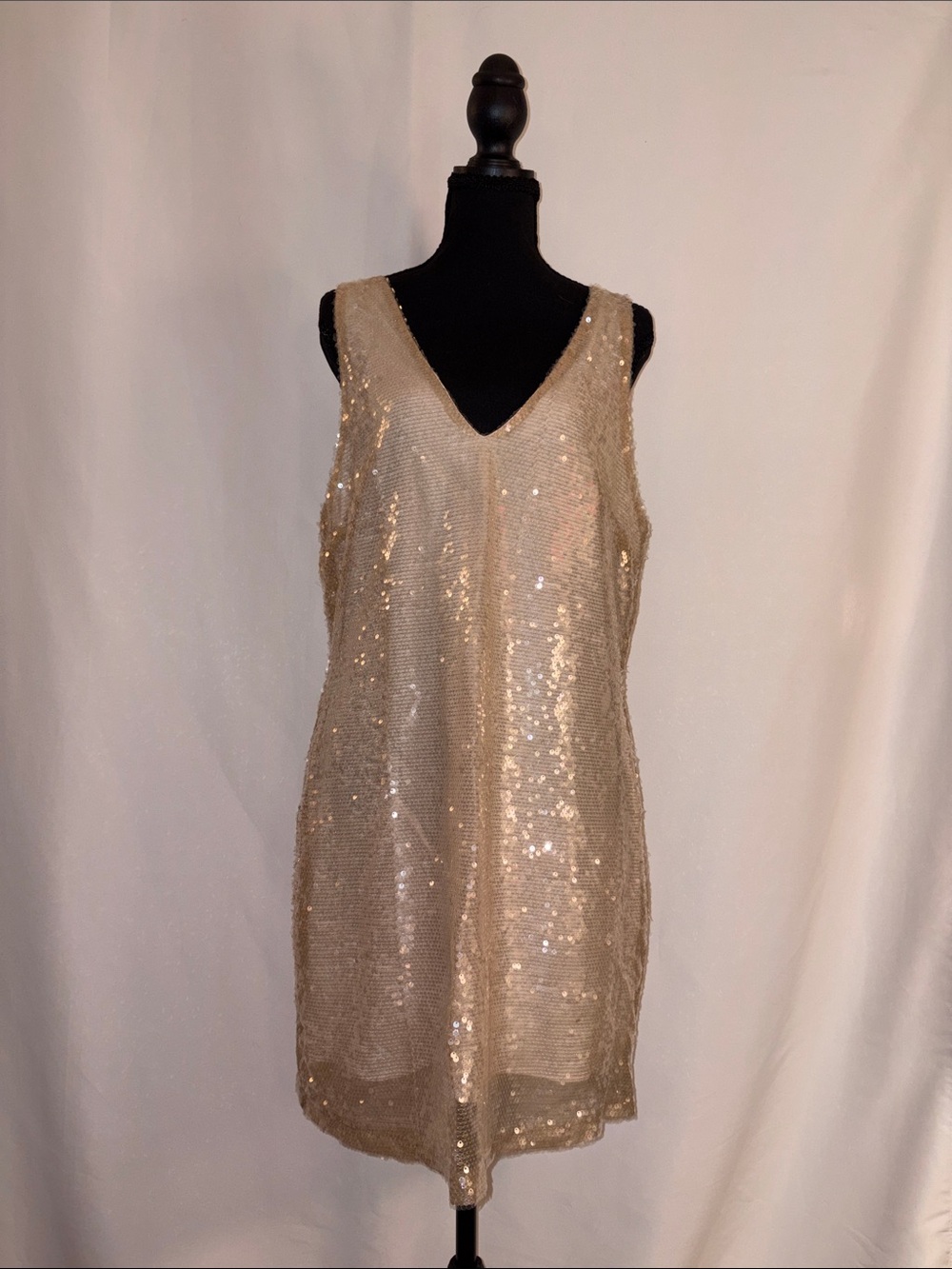 NWT a new day Champagne Sequin V-Neck Slip Dress